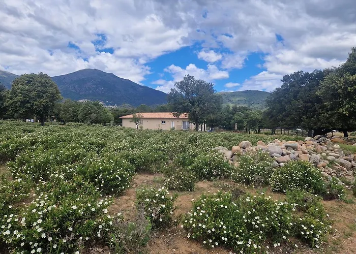 Domaine U Filanciu - Casa Chiara - Centru Di Corsica