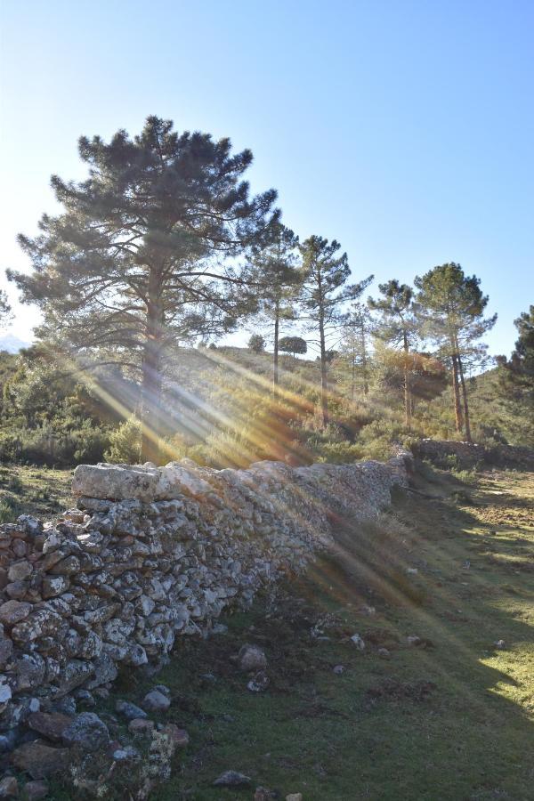 Domaine U Filanciu - Casa Chiara - Centru Di Corsica