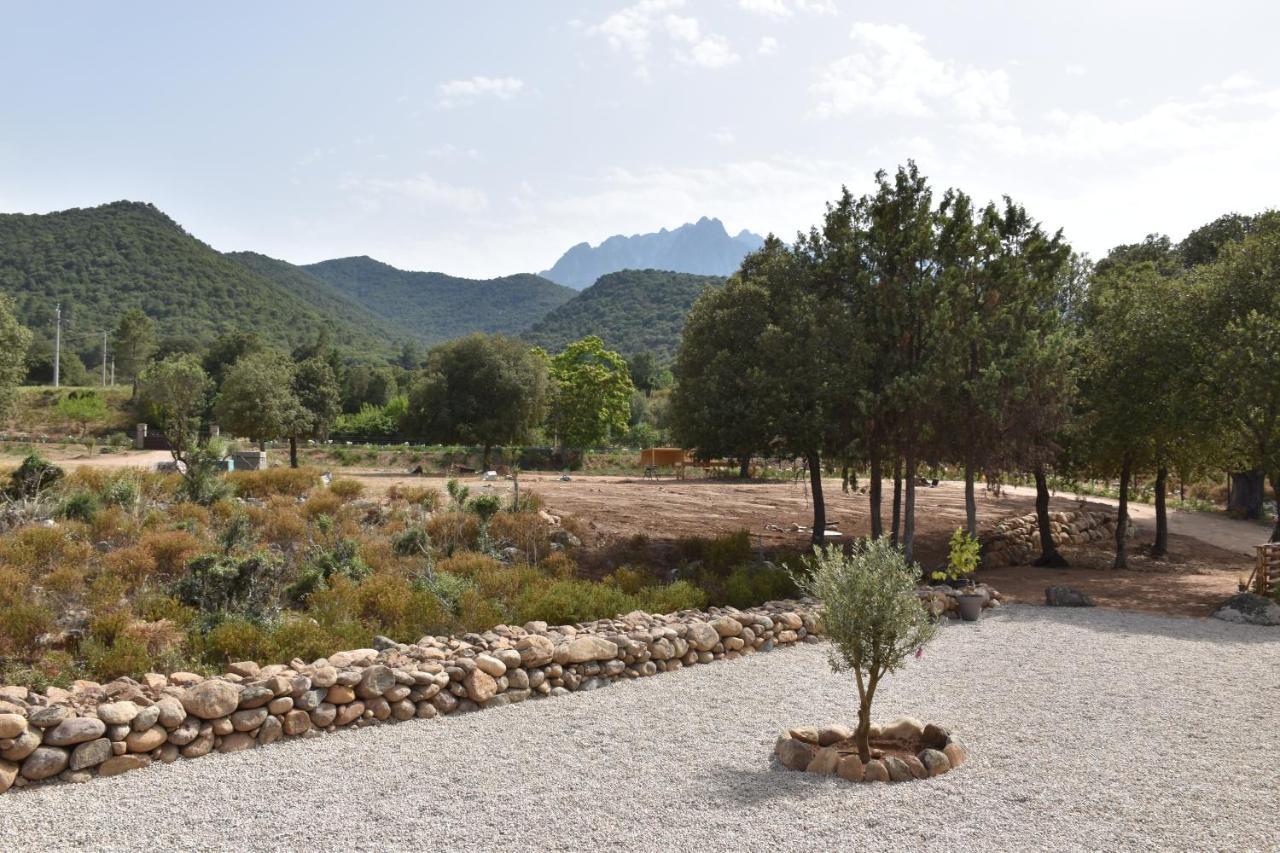 Domaine U Filanciu - Casa Chiara - Centru Di Corsica Moltifao