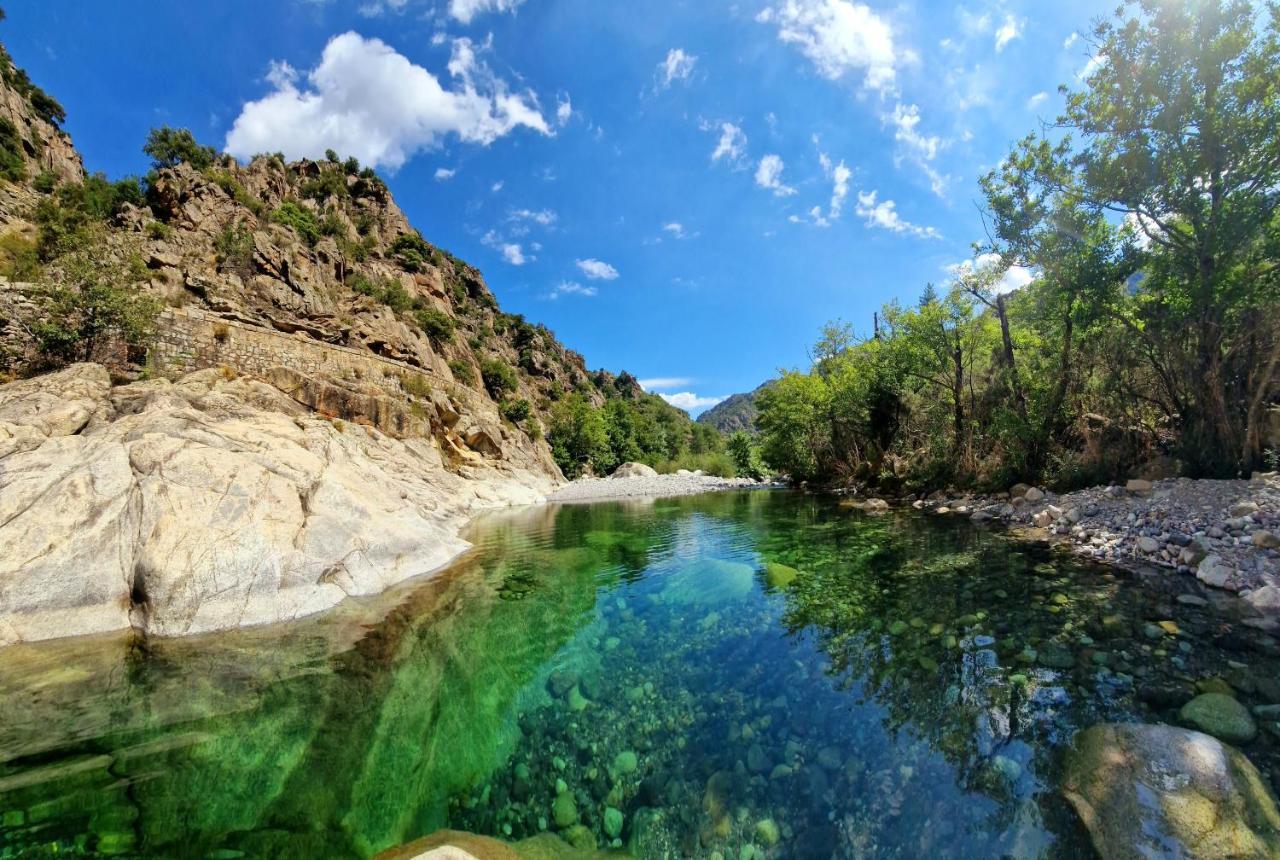 Ferienhaus Domaine U Filanciu - Casa Chiara - Centru Di Corsica Moltifao